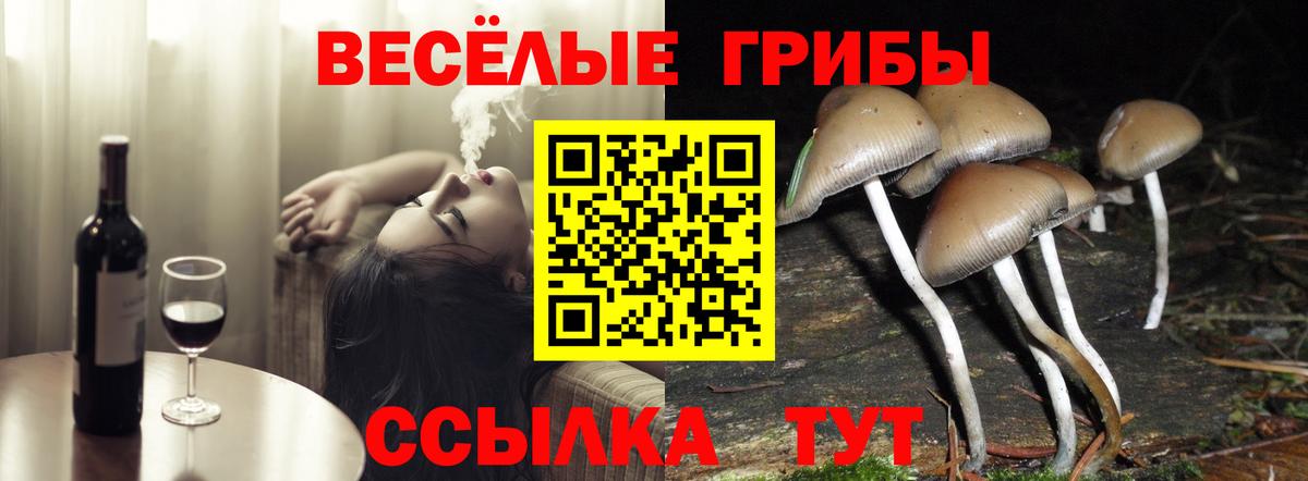 Жигулёвск  Галлюциногенные грибы Psilocybe  Псилоцибиновые грибы мухоморы  Вход с VPN 
